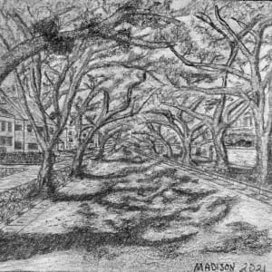 A Beautiful Day on Madison by Lon Bender