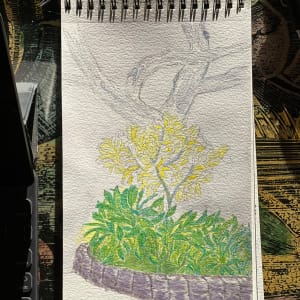 Hawaiian Garden  Image: Second draft