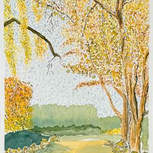 Ginkos at Descanso by Lon Bender