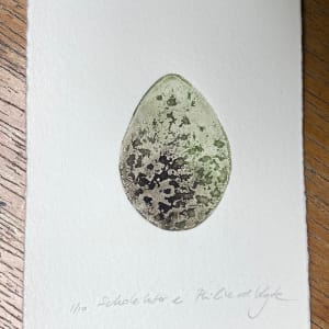 Scholeksterei (Oyster catcher's egg) by Philine van der Vegte 