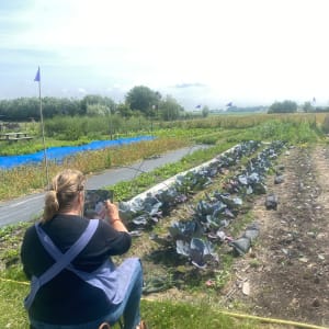 Cabbage field by Philine van der Vegte 