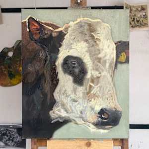 Blaarkop stier by Philine van der Vegte 