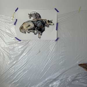 Working dogs by Philine van der Vegte 