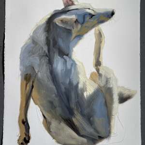 A good scratch by Philine van der Vegte 