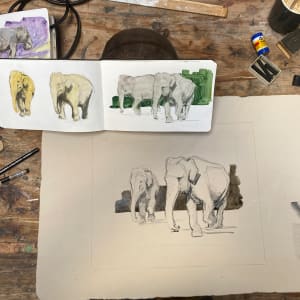 Bij de olifanten (At the elephants) by Philine van der Vegte 