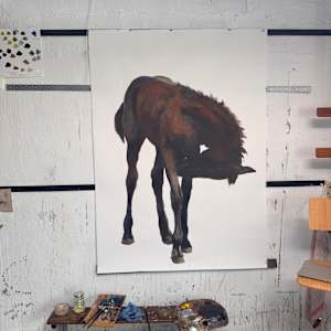 Grooming foal by Philine van der Vegte 