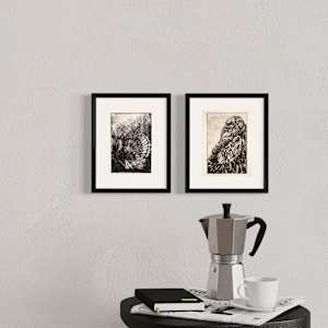 Kalkoenhaan by Philine van der Vegte 