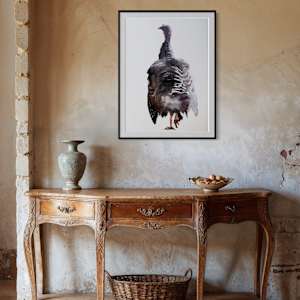 Weathered feathers by Philine van der Vegte 