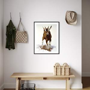 Toggenburg kid by Philine van der Vegte 