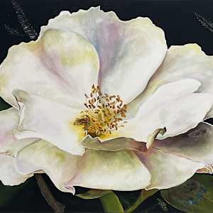 Wild Wild Rose by Jane Akin, Image 1.