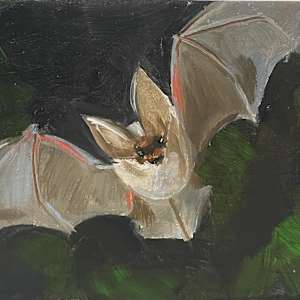 Batty by Mary Bryson