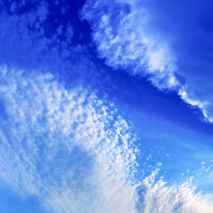 Cap D'Antibes by Pamela Beck