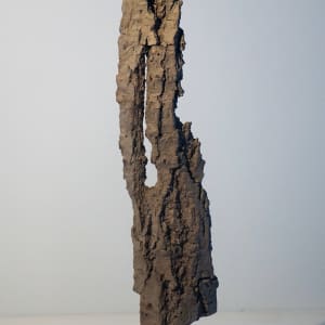 Bark #17 by Eric Saint Georges