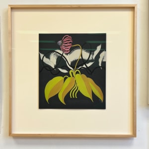 Coneflower(framed) by GEMMA BAILEY