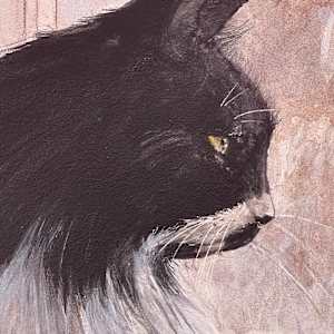 Romeo by Manon Bédard  Image: Romeo - detail 1