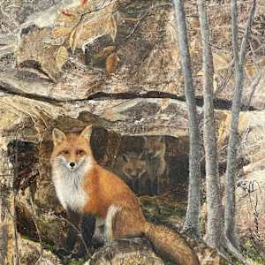 Camouflage-renards by Manon Bédard