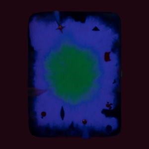 Internal Light by Davina Hsu  Image: UV Light