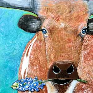 Longhorn with Bluebonnet 2015, Image 1.