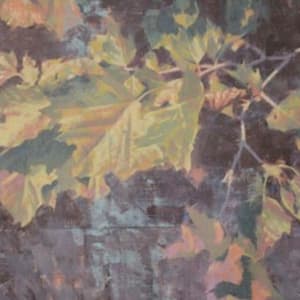 Sycamore by Peter Schaumann, Image 2.