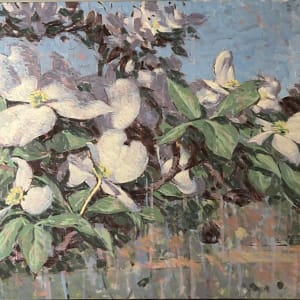 Dogwood by Peter Schaumann, Image 1.