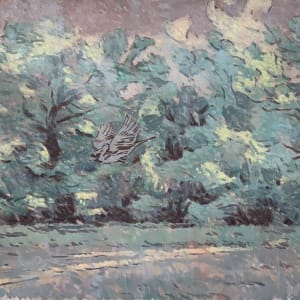 Evening Light Through Trees by Peter Schaumann, Image 1.