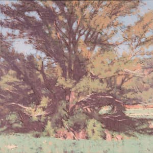 Summer Tree (framed) by Peter Schaumann, Image 3.