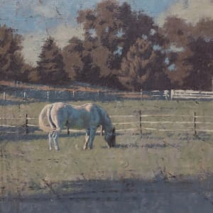 White Horse Sugartown Road by Peter Schaumann, Image 18.
