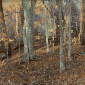 Winter Wood by Peter Schaumann, Image 20.