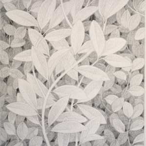 Untitled (looking for the light) by Lucía Rodríguez Pérez 