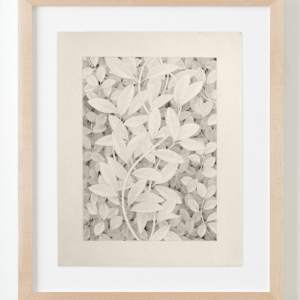 Untitled (looking for the light) by Lucía Rodríguez Pérez 