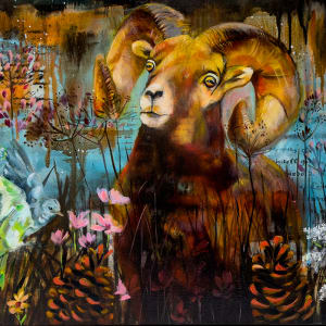 Finding Adventure by Linda McClure