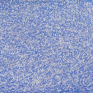 Crazy Lace (aka Blue Blizzard) by Francie Lyshak, Image 1.
