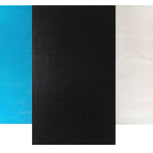 Wings Triptych by Francie Lyshak