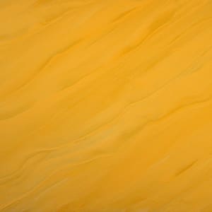 Streaming Yellow Rhythm (aka Scraped Yellow Rhythm) by Francie Lyshak