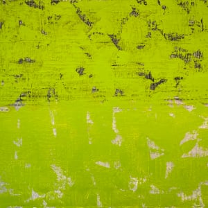 Revolution by Francie Lyshak, Image 1.