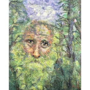 Hidden in the Old Forest by Michelle Moats