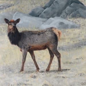 Soda Creek Elk by Christine O'Brien 