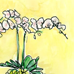 "Reclaim a Simplified Pace" by JJ Hogan 
