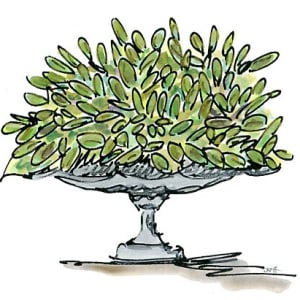Consider the Power of Nature by JJ Hogan 