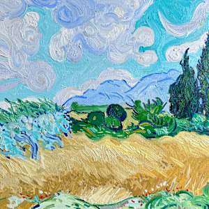 Vincent Cypress Study by Meredith Howse Art