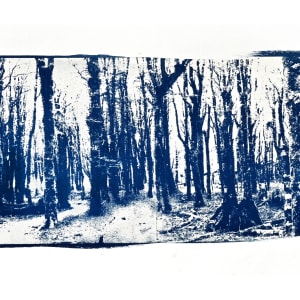 Forest Angst by Adi Tait, Image 1.