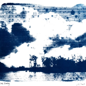 Lake Brooding by Adi Tait