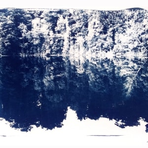 Narcissus by Adi Tait