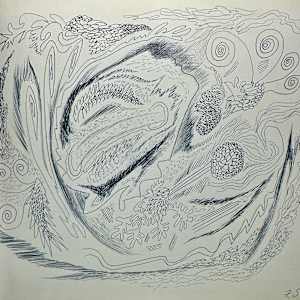 "Organic Abstraction" named by CLL by Fred Shane, Image 1.