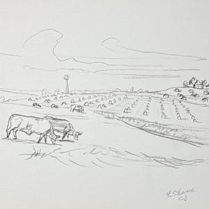 "Landscape with Trees, tiny sketch"  named by CLL by Fred Shane, Image 2.