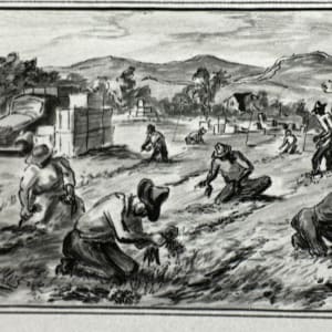"Carrot Pickers" by Fred Shane, Image 2.
