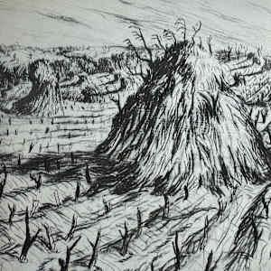 "Cornfield Near Columbia, MO" named by CLL by Fred Shane, Image 1.
