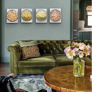 Potential Mandala by Shirley Williams  Image: Grouping of four Mandalas shown installed in a living room