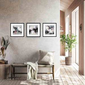 Not Just Black & White by Shirley Williams 