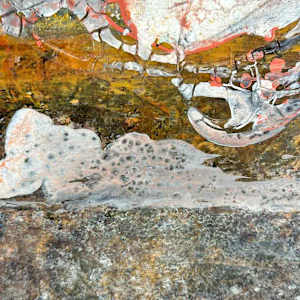 Autumn Horizon by Shirley Williams 
